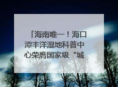 海南唯一！海口潭丰洋湿地科普中心荣膺国家级“城市儿童友好空间建设园区”称号