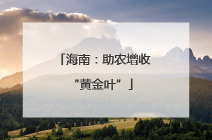 海南：助农增收 “黄金叶”