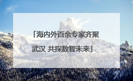 海内外百余专家齐聚武汉 共探数智未来