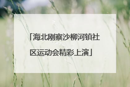 海北刚察沙柳河镇社区运动会精彩上演