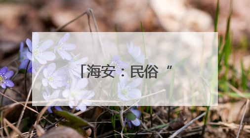 海安：民俗“潮”玩激活乡村文旅新图景