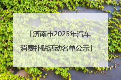 济南市2025年汽车消费补贴活动名单公示