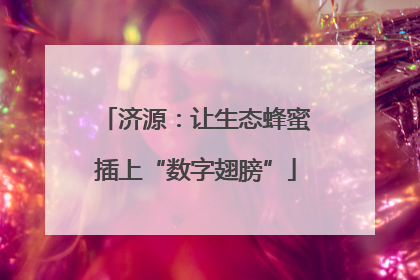 济源：让生态蜂蜜插上“数字翅膀”