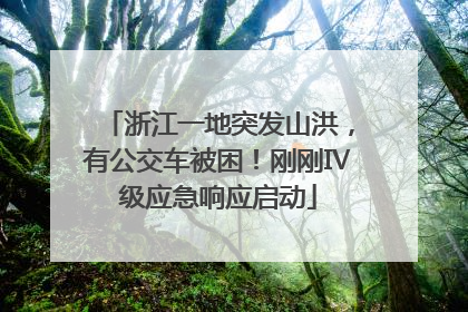 浙江一地突发山洪，有公交车被困！刚刚Ⅳ级应急响应启动
