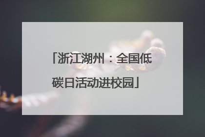 浙江湖州：全国低碳日活动进校园