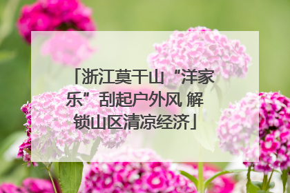浙江莫干山“洋家乐”刮起户外风 解锁山区清凉经济