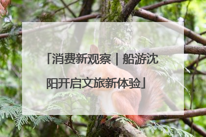 消费新观察｜船游沈阳开启文旅新体验