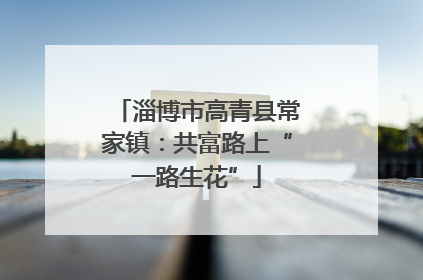 淄博市高青县常家镇：共富路上“一路生花”
