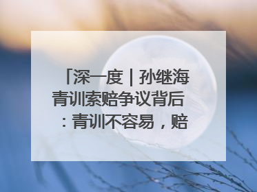 深一度｜孙继海青训索赔争议背后：青训不容易，赔偿可仲裁