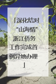 深化结对“山海情” 浙江侨务工作完成首例异地办理