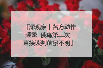 深观察丨各方动作频繁  俄乌第二次直接谈判前景不明