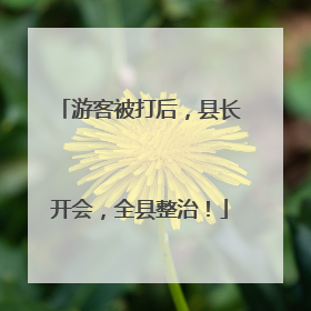 游客被打后，县长开会，全县整治！