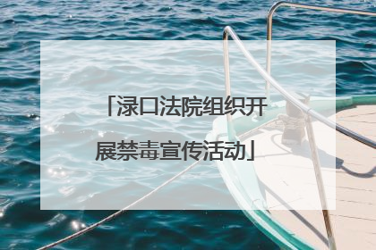 渌口法院组织开展禁毒宣传活动