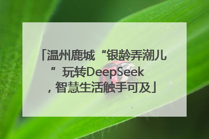 温州鹿城“银龄弄潮儿”玩转DeepSeek，智慧生活触手可及