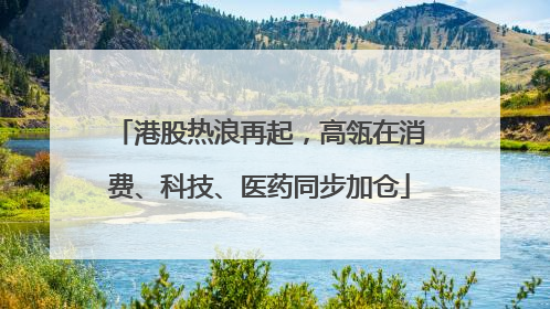 港股热浪再起，高瓴在消费、科技、医药同步加仓