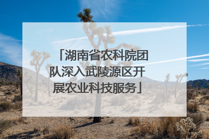 湖南省农科院团队深入武陵源区开展农业科技服务