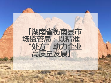 湖南省衡南县市场监管局：以精准“处方”助力企业高质量发展