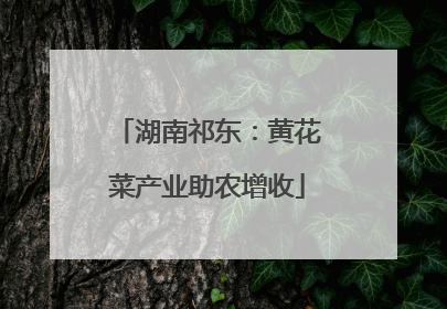 湖南祁东：黄花菜产业助农增收
