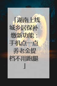 湖南上线城乡居保补缴新功能：手机点一点 养老金提档不用跑腿