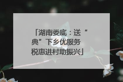 湖南娄底：送“典”下乡优服务 税惠进村助振兴