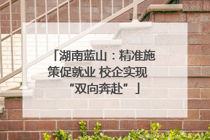 湖南蓝山：精准施策促就业 校企实现“双向奔赴”