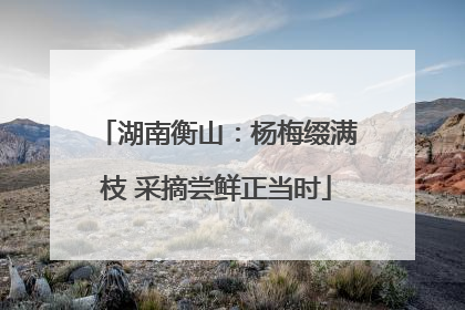 湖南衡山：杨梅缀满枝 采摘尝鲜正当时