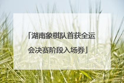 湖南象棋队首获全运会决赛阶段入场券
