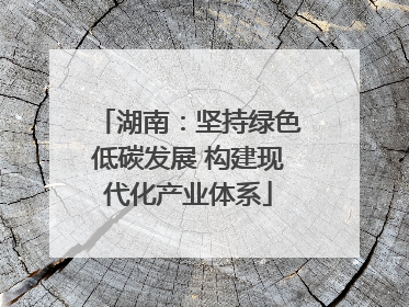 湖南：坚持绿色低碳发展 构建现代化产业体系