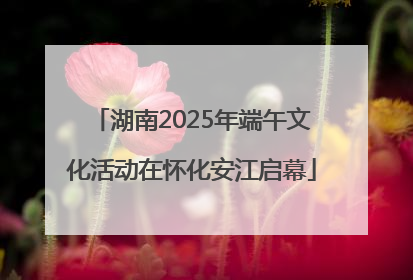 湖南2025年端午文化活动在怀化安江启幕