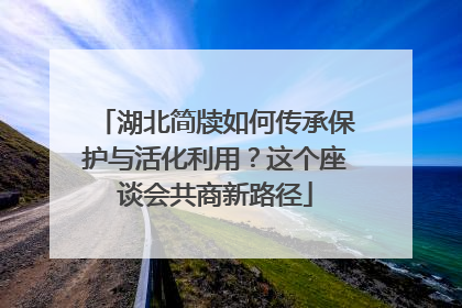 湖北简牍如何传承保护与活化利用？这个座谈会共商新路径