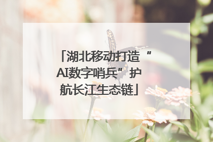 湖北移动打造“AI数字哨兵”护航长江生态链