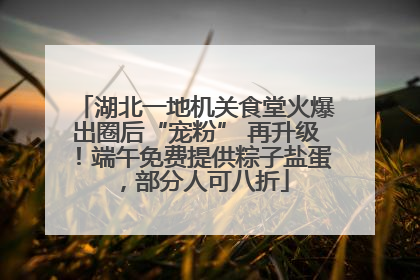 湖北一地机关食堂火爆出圈后“宠粉” 再升级！端午免费提供粽子盐蛋，部分人可八折