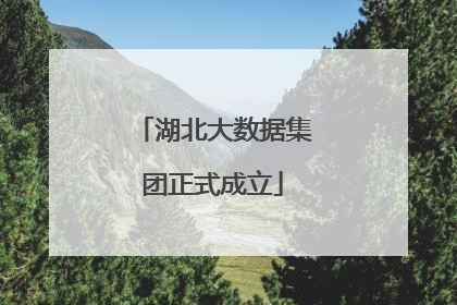 湖北大数据集团正式成立