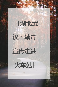 湖北武汉：禁毒宣传走进火车站