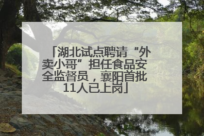 湖北试点聘请“外卖小哥”担任食品安全监督员，襄阳首批11人已上岗