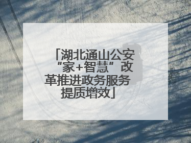 湖北通山公安“家+智慧”改革推进政务服务提质增效
