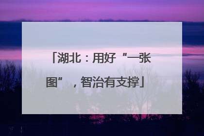 湖北：用好“一张图”，智治有支撑
