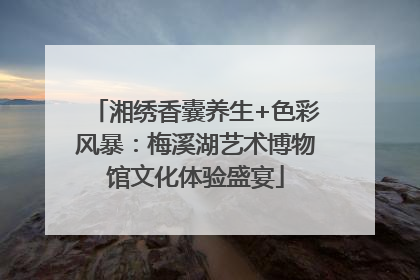 湘绣香囊养生+色彩风暴：梅溪湖艺术博物馆文化体验盛宴