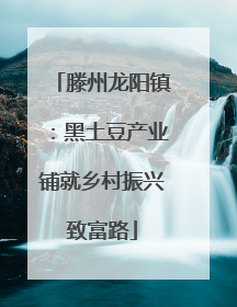 滕州龙阳镇：黑土豆产业铺就乡村振兴致富路
