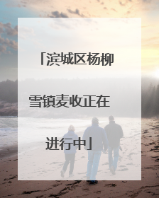 滨城区杨柳雪镇麦收正在进行中