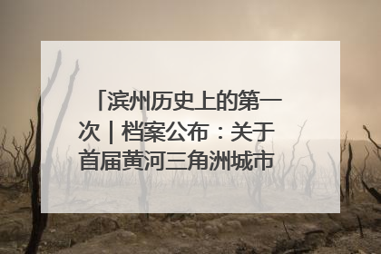 滨州历史上的第一次｜档案公布：关于首届黄河三角洲城市经济博览会暨发展论坛情况的总结报告