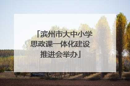 滨州市大中小学思政课一体化建设推进会举办