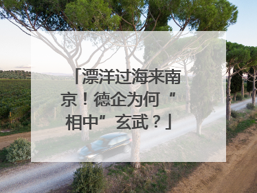 漂洋过海来南京！德企为何“相中”玄武？
