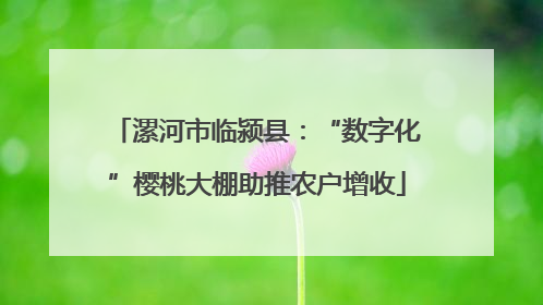 漯河市临颍县：“数字化”樱桃大棚助推农户增收