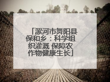 漯河市舞阳县保和乡：科学组织灌溉 保障农作物健康生长