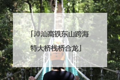 漳汕高铁东山跨海特大桥栈桥合龙