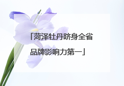 菏泽牡丹跻身全省品牌影响力第一