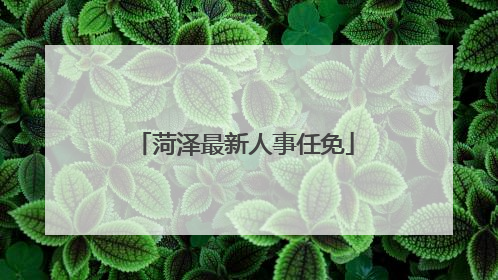 菏泽最新人事任免