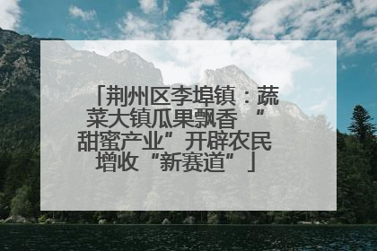 荆州区李埠镇：蔬菜大镇瓜果飘香 “甜蜜产业”开辟农民增收“新赛道”