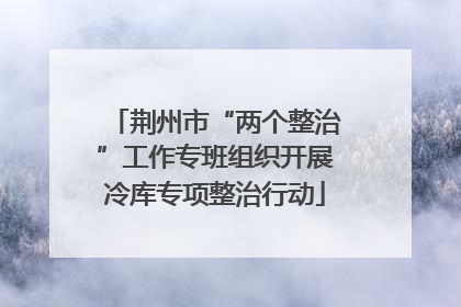 荆州市“两个整治”工作专班组织开展冷库专项整治行动
